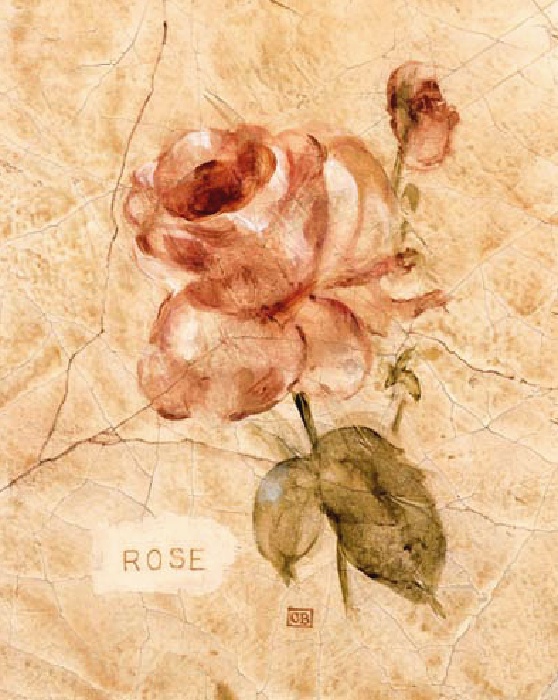 Cheri Blum Rose on Cracked Linen